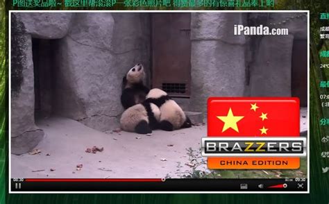 brazzers china